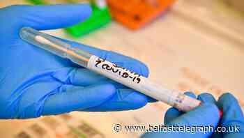 Coronavirus testing prioritised for those most at risk of severe illness