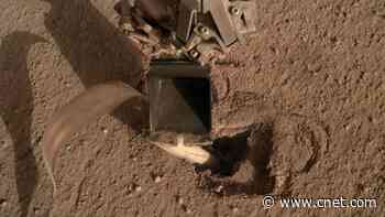 NASA's stuck Mars 'mole' gets helpful push from the InSight lander     - CNET