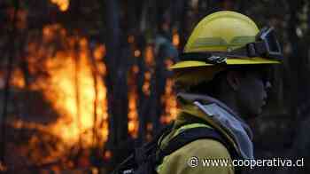 Alerta roja por incendio forestal cercano a sectores habitados en Traiguén - Cooperativa.cl