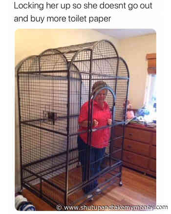 Locking Her Up So She Doesn’t Go Out And Buy More Toilet Paper – Meme