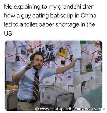 Me Explaining How A Guy Eating Bat Soup In China Led To A Toilet Paper Shortage In The US Meme