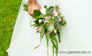 Meer dan 100 gasten op bruiloft Druten: politie grijpt in vanwege corona-regels