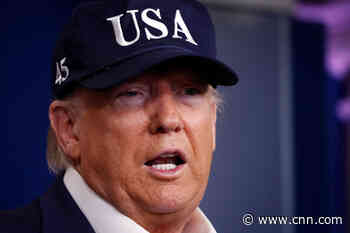 US considers domestic travel restrictions