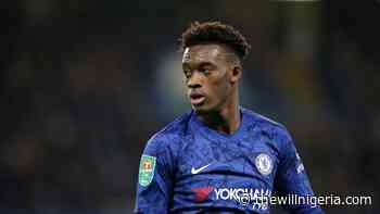 Coronavirus: Callum Hudson-Odoi Tests Positive, Full Squad, Coaching Crew In Self-Isolation - thewillnigeria