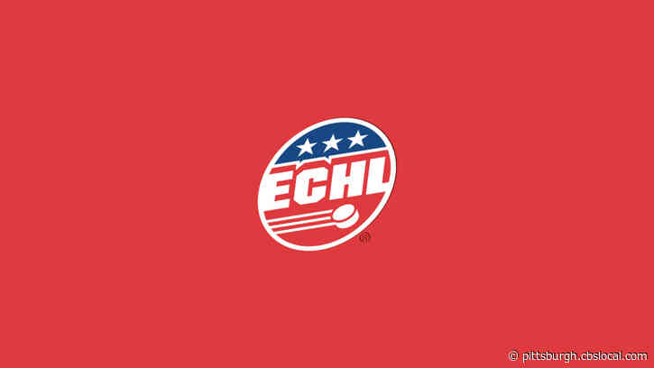 ECHL Cancels Remainder Of 2019-2020 Season