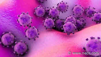 Rhode Island Coronavirus Cases Rise to 20 - NECN