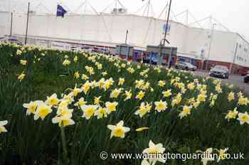 11 brilliant pictures of Warrington's spring flowers