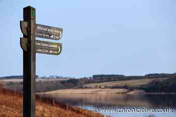 In pictures: Stunning views of tranquil North East beauty spot Derwent Reservoir