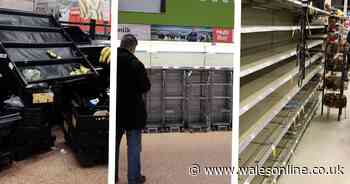 What your favourite supermarket is doing to increase stock in the wake of coronavirus panic-buying