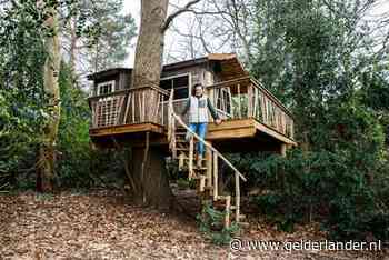 Van boomhuttenbouwer tot boomkweker: deze mensen werken in het bos