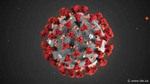 2 new COVID-19 cases in Ottawa confirmed - CBC.ca