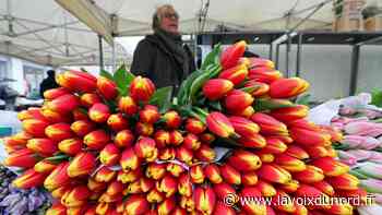 Sur le marché d'Arras, samedi matin, l'éclosion du coronavirus avait fané le sujet des municipales - La Voix du Nord