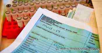 Coronavirus: 14 more people in the UK have died from Covid-19