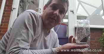 Medic has simple way of explaining the UK's response to coronavirus