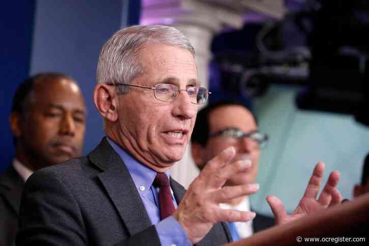 Top infectious disease expert open to a 14-day ‘national shutdown’ to slow coronavirus spread