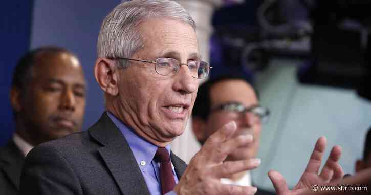Top infectious disease expert open to a 14-day ‘national shutdown’ to stem virus