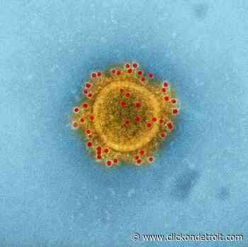 Osborn High School teacher tests positive for COVID-19, superintendent recommends staff quarantine - WDIV ClickOnDetroit