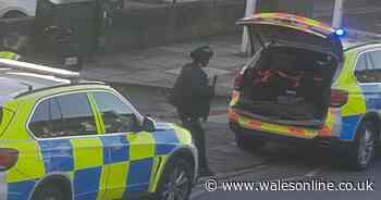 Huge armed police response to 'altercation' near Cardiff pizza takeaway