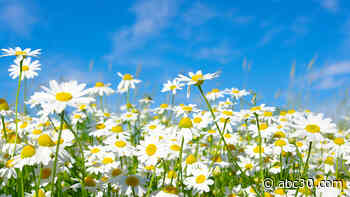 First day of spring in 2020: Dates to remember, things to do and what to know