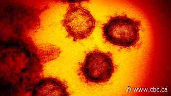 Ontario confirms 43 new COVID-19 cases, bringing provincial total to 146