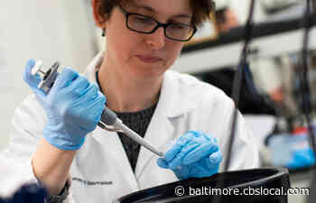 Coronavirus Latest: Baltimore Co. Executive Johnny Olszewski Declares Local State Of Emergency - CBS Baltimore