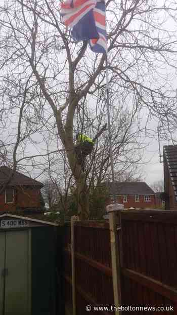 Resident anger at chopped down tree