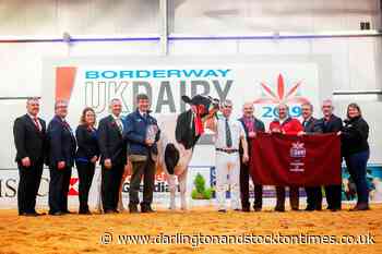 Entries from County Durham in UK Dairy Expo 2020 - Darlington and Stockton Times
