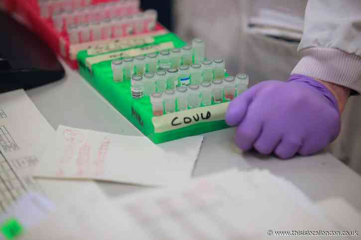 Coronavirus Live Blog: UK to receive daily TV updates