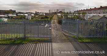 Pigeon crees destroyed by fire at Sunderland allotments