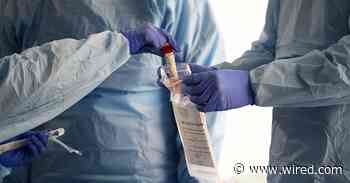 Everything You Need to Know About Coronavirus Testing