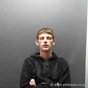 York danger driver David Thornton jailed