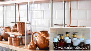 It's Hand Sanitiser O'Clock for Bristol Gin Distillery - Gizmodo UK