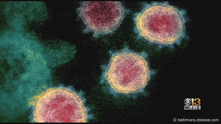 Coronavirus Latest: Maryland Cases Grow To 37