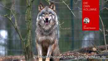 Die Angst lähmt und löst Panik aus: Finanzkrise, Klimawandel und nun Corona-Virus