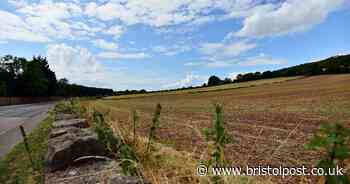 Council reveals its 'vision' for life in Long Ashton in the future