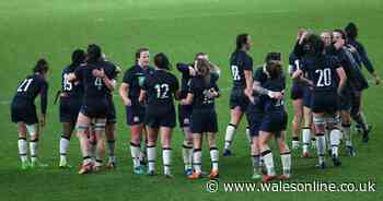 Six Nations women's player infected with coronavirus released from hospital