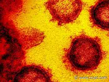 Hackers target US health agency during coronavirus crisis     - CNET