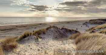 Bomb disposal called after mystery object washes up on Welsh beach