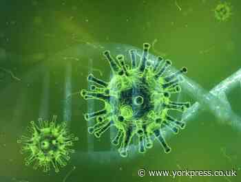 What is a 'pandemic' - and when were the last ones before coronavirus?