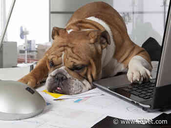 Work from home on the cheap: Build a budget home office for under $300