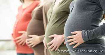 Pregnant women added to 'high risk' coronavirus list
