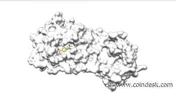 How Crypto Is Fighting Coronavirus: Hacks, Info, Perspectives