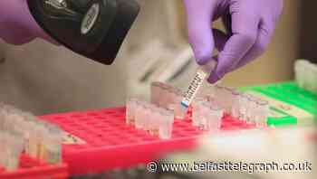 Chief medical officer defends UK’s testing for Covid-19