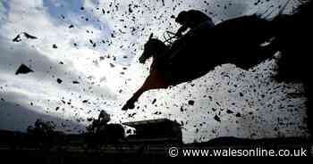 The Grand National has been cancelled due to coronavirus fears