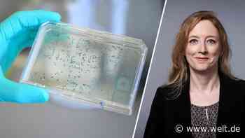 Der unverschämte Angriff auf CureVac ist ein Weckruf für Deutschland