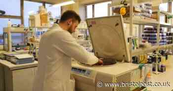 Bristol scientists studying coronavirus to understand it better