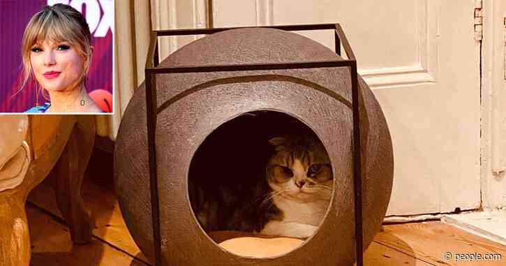 Taylor Swift’s Cat Is a Social Distancing Pro: ‘For Meredith, Self Quarantining Is a Way of Life’