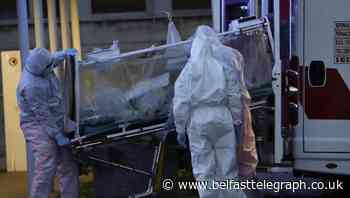 250,000 will die unless stricter virus measures are adopted, warn scientists