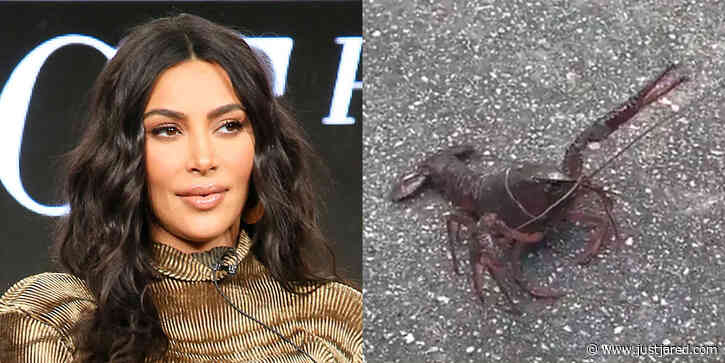 Kim Kardashian Just Found a Lobster Walking Down Her Street