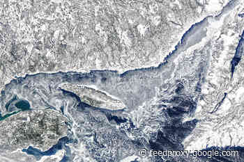 Watching the Planet While Stuck in the House